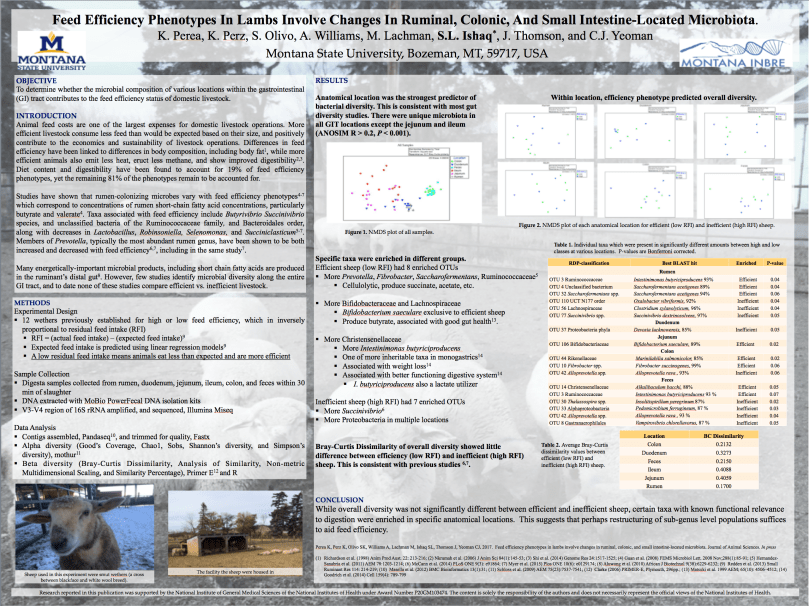 Screen Shot 2017-04-04 at 4.40.45 PM