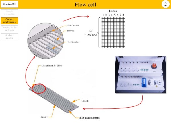 illumina-gaiix-for-high-throughput-sequencing-15-728