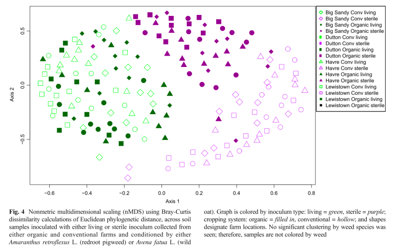 Screen Shot 2018-04-26 at 7.06.46 PM.png