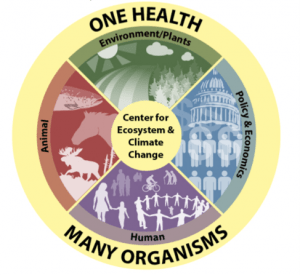 One Health logo