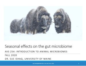 Illustrated image of three dark-brown musk ox in snow above text. Text reads "Seasonal effects on the gut microbiome. AVS 254: Introduction to Animal Microbiomes. Fall 2020. Dr. Sue Ishaq, University of Maine".