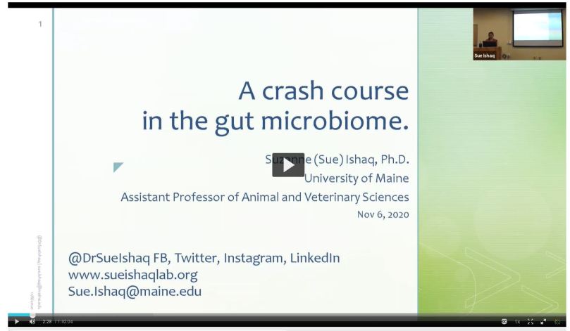 Screenshot from an online seminar. The video of the speaker is in the upper right corner, and the title slide is the rest of the image. The seminar is "A crash course in the gut microbiome" by Sue Ishaq at the University of Maine.