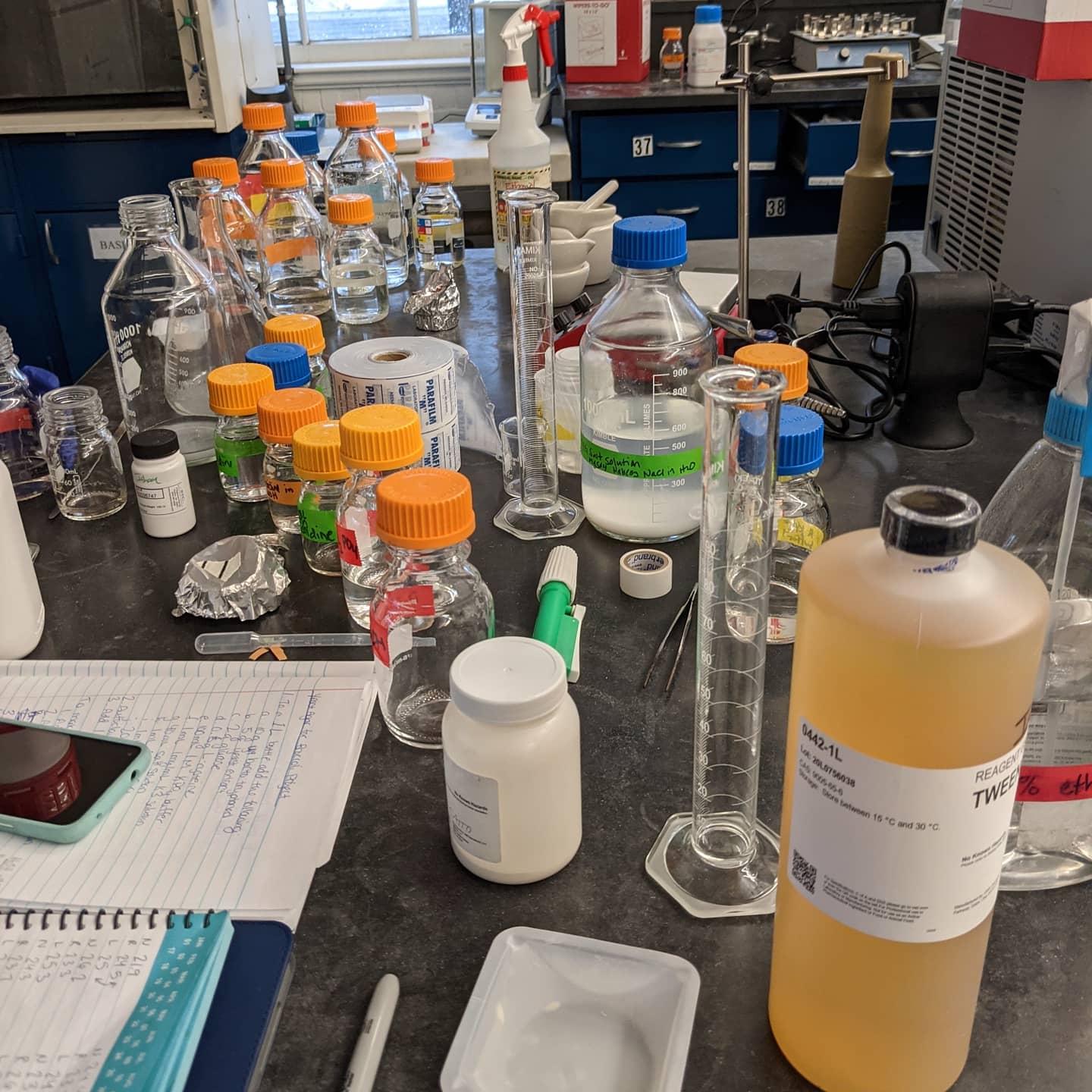 A messy laboratory bench showing dozens of jars, bottles, and graduated cylinders, all of various sizes.