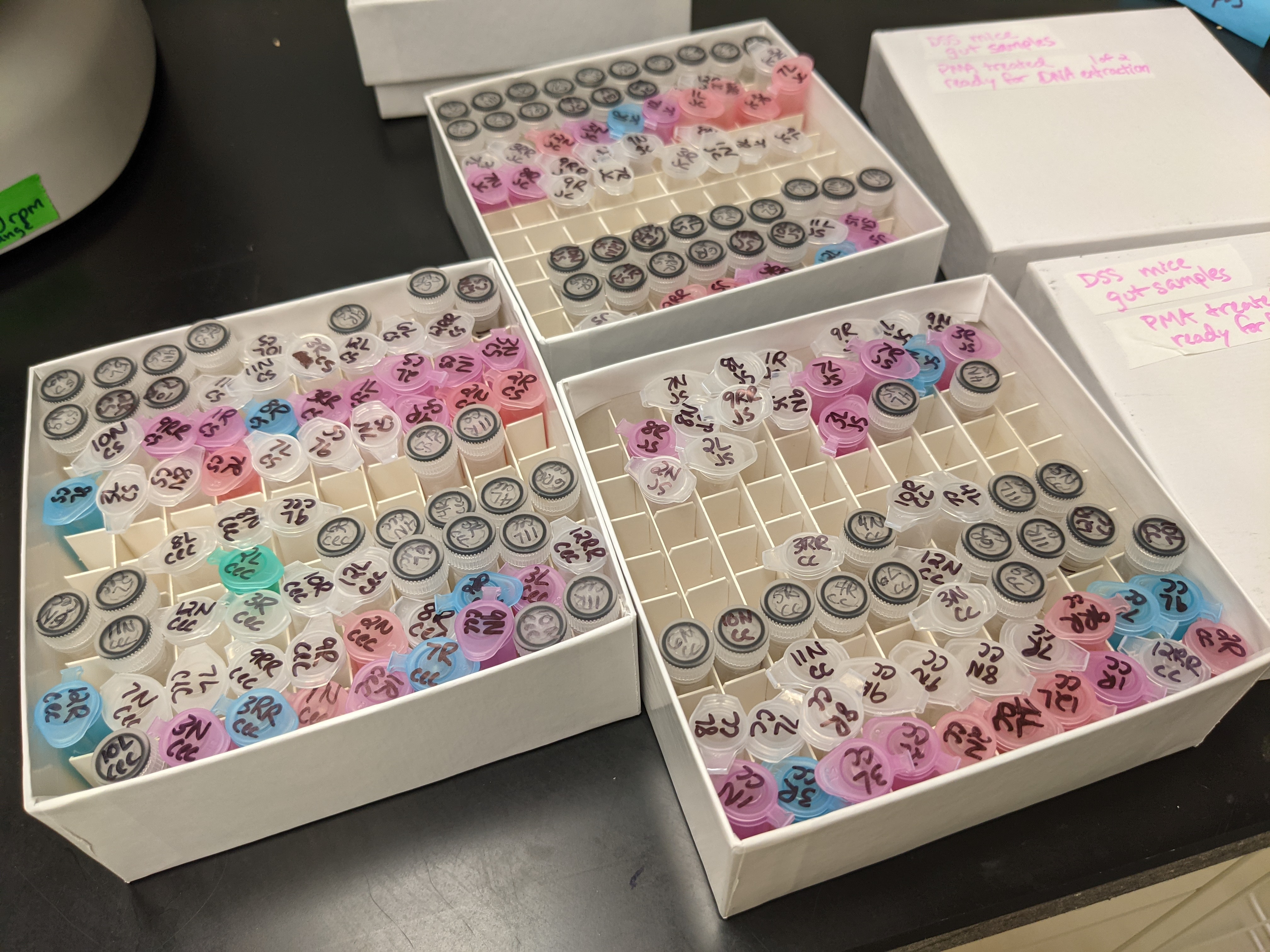 Three small, white, cardboard boxes on a black laboratory bench. The lids are off, revealing about 200 small tubes with sample names written on the lids.