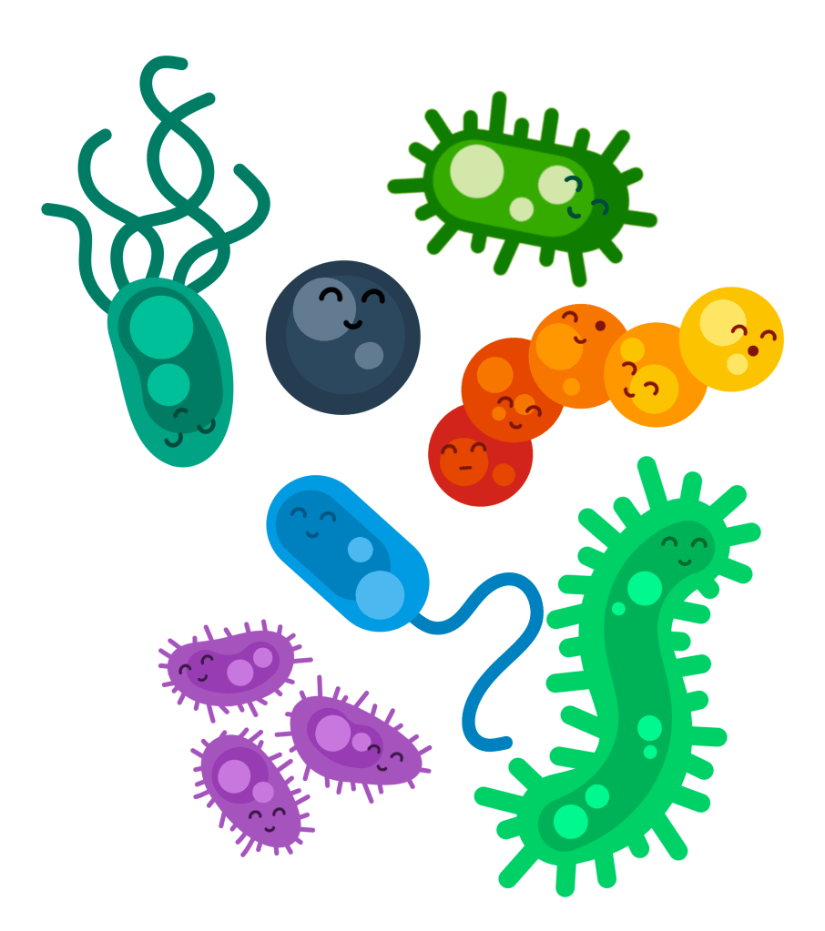 A cartoon of brightly colored, smiling bacteria.