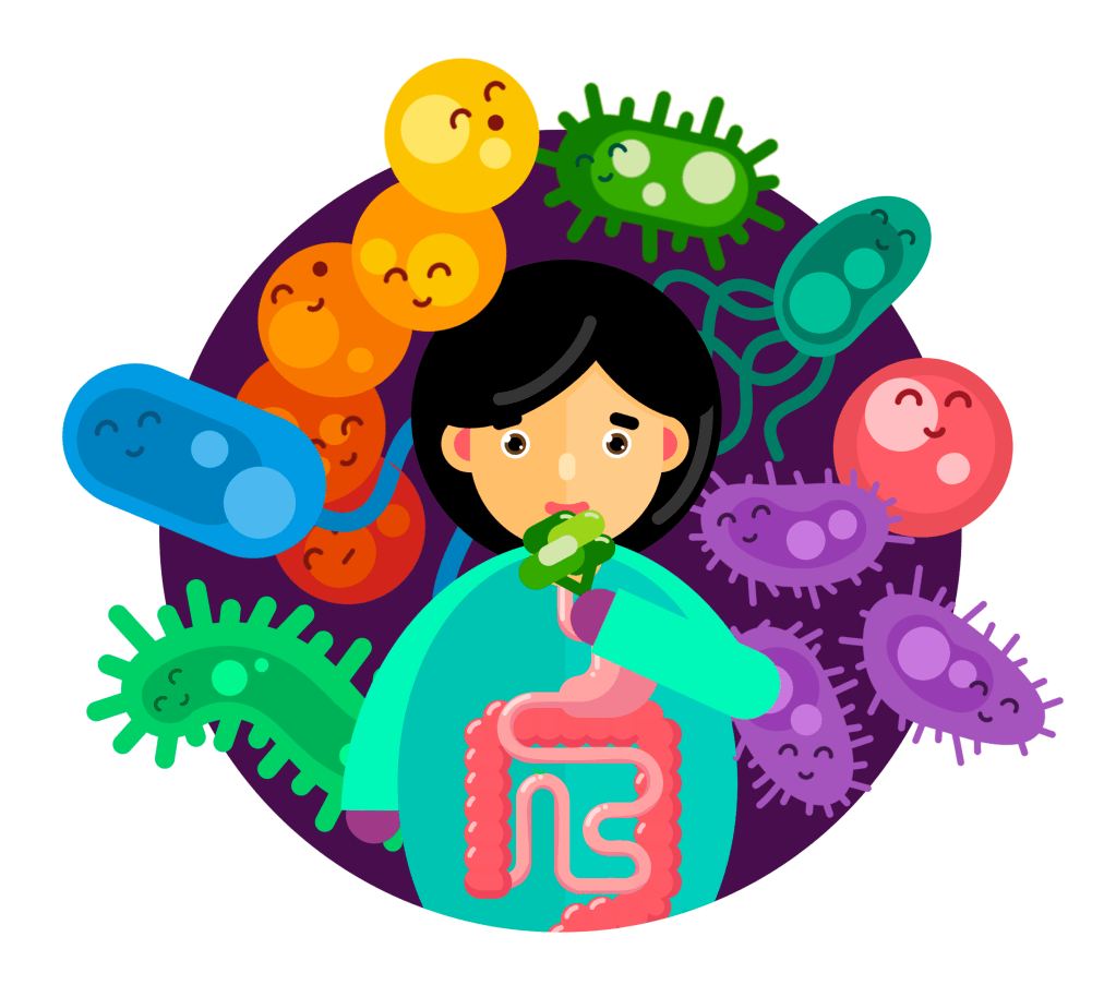 A cartoon of a woman eating broccoli, with the digestive tract shown on her shirt, and smiling microbes in the background.