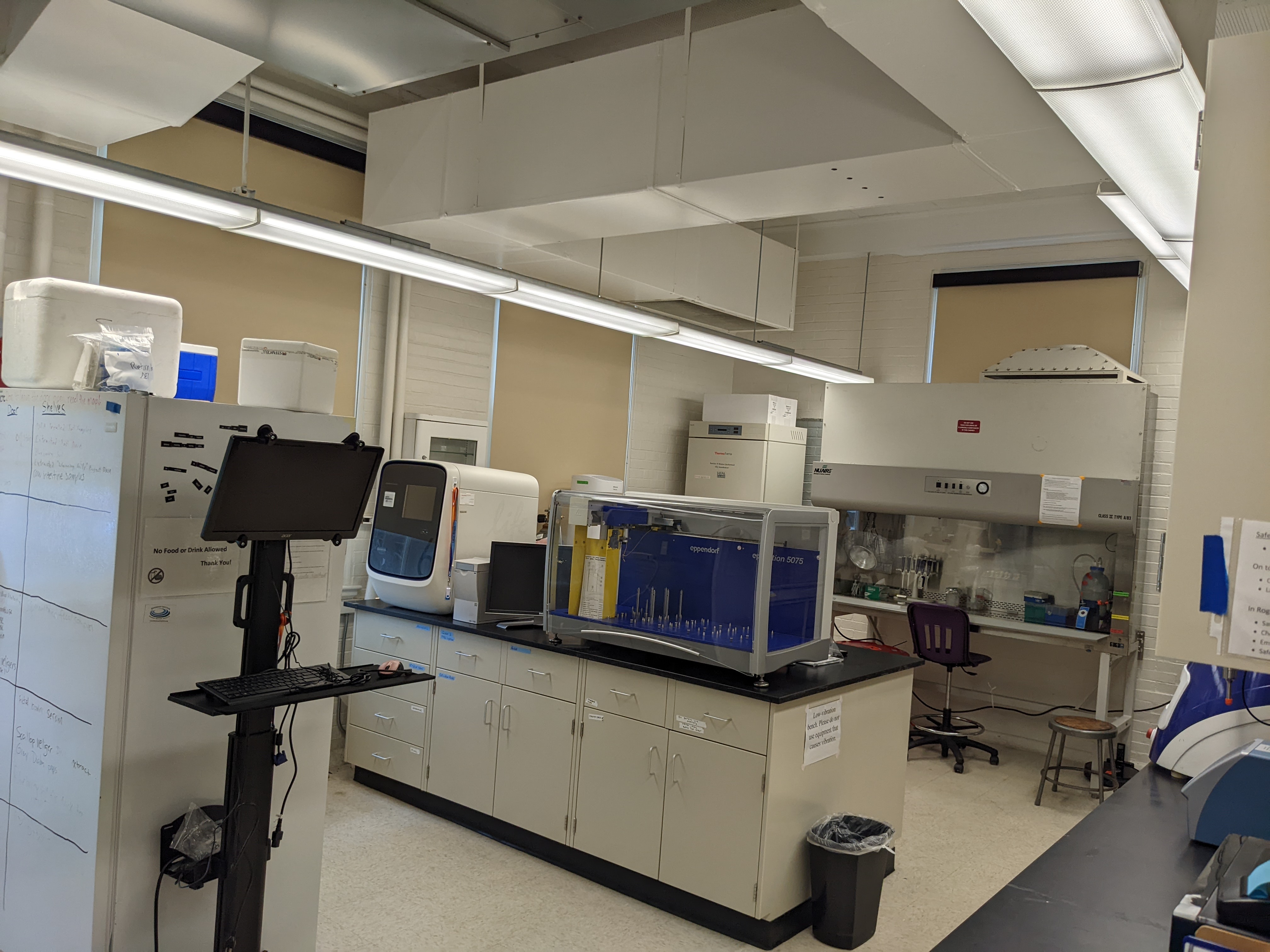 Ishaq Lab Molecular Genetics space.