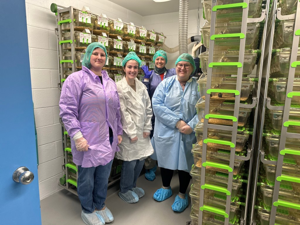 Johanna, Ashley, Alexis, and Sue wearing gloves, hairnets, booties, and gowns, and standing in front of racks of mice.