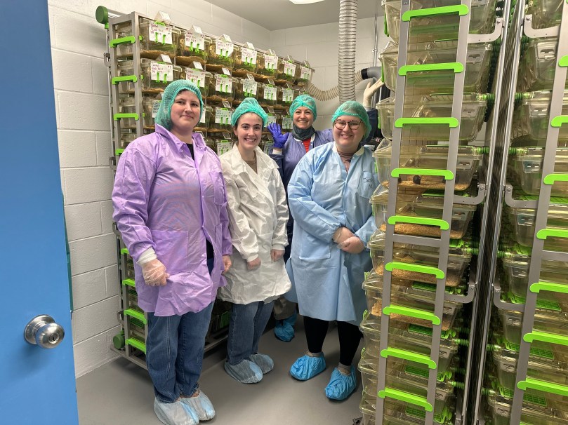 Johanna, Ashley, Alexis, and Sue wearing gloves, hairnets, booties, and gowns, and standing in front of racks of mice.